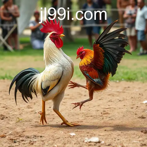 Exploring the World of Sabong Games and the Role of JL99